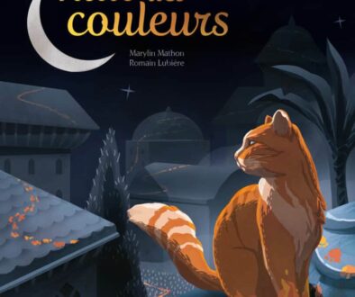 La nuit des couleurs couv web